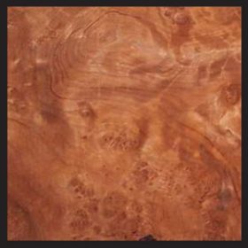 Burl Wood